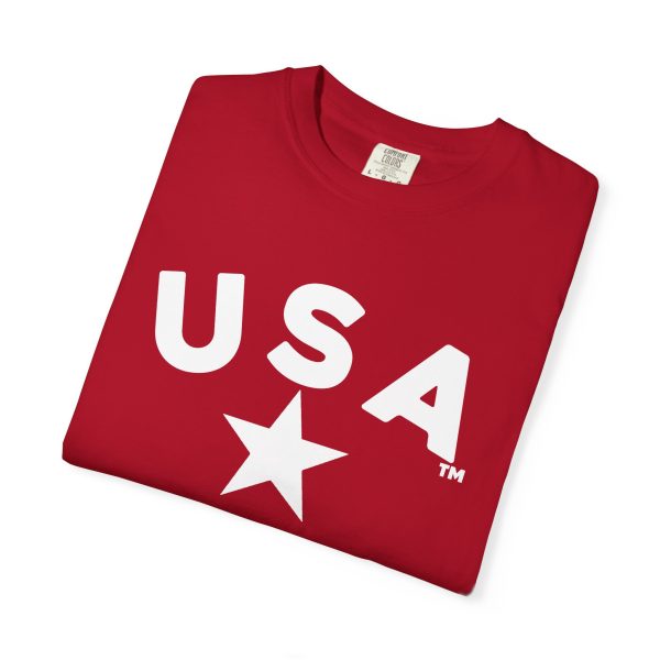 USA Star Unisex Garment-Dyed T-Shirt, Casual Tee, Summer Wear, Patriotic Apparel, Independence Day Gift - Image 45