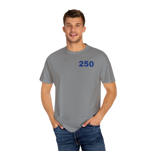Unisex Garment-Dyed T-shirt - Image 24