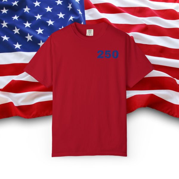 Unisex Garment-Dyed T-shirt - Image 25